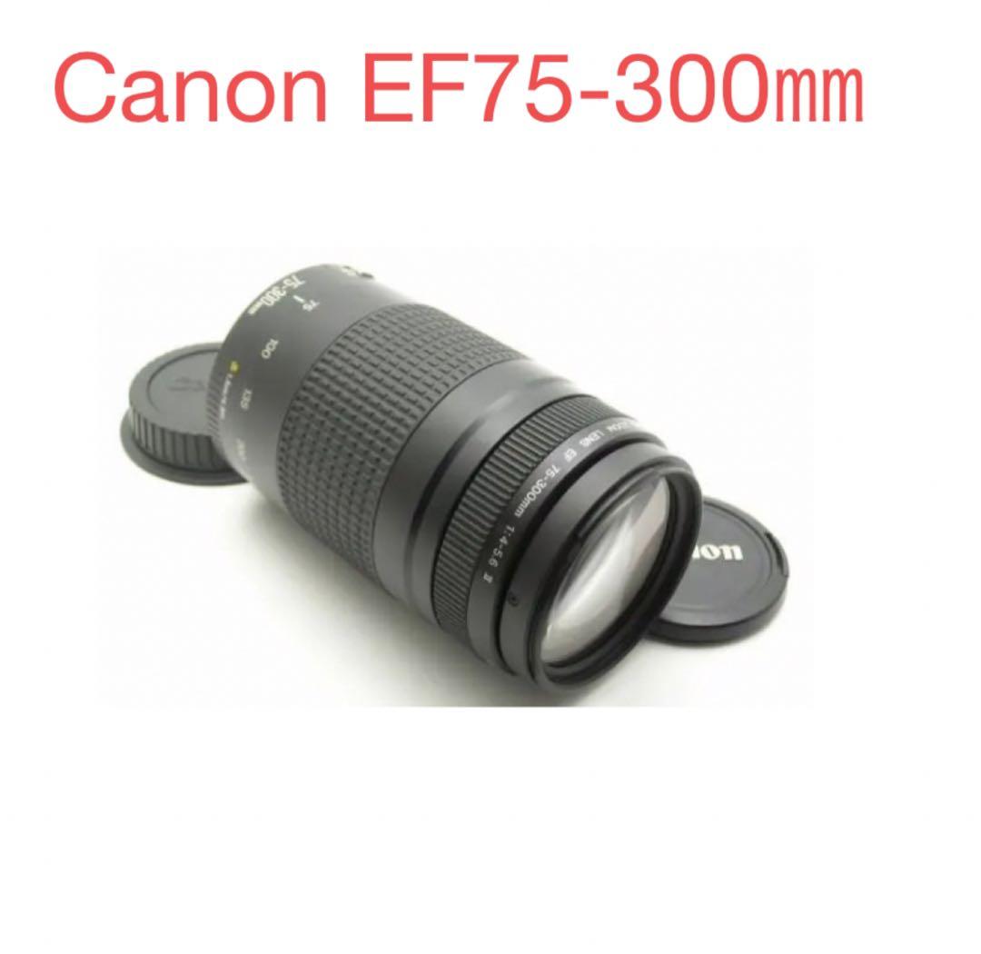 スポーツ/イベント等/Canon EF75-300㎜F4-5.6 II Canon RF 75-300mm F4-5.6 - Walmart.com